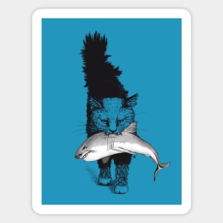 Shark-Cat Sticker